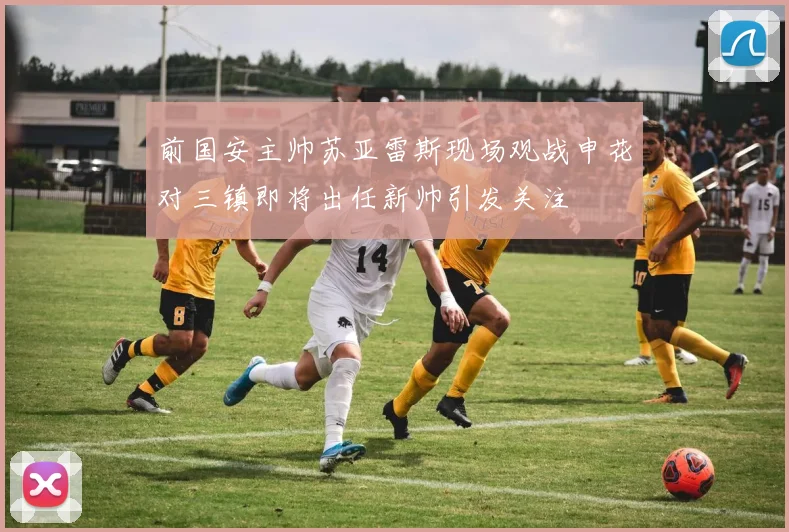 前国安主帅苏亚雷斯现场观战申花对三镇即将出任新帅引发关注