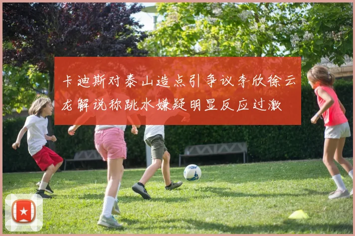 卡迪斯对泰山造点引争议李欣徐云龙解说称跳水嫌疑明显反应过激