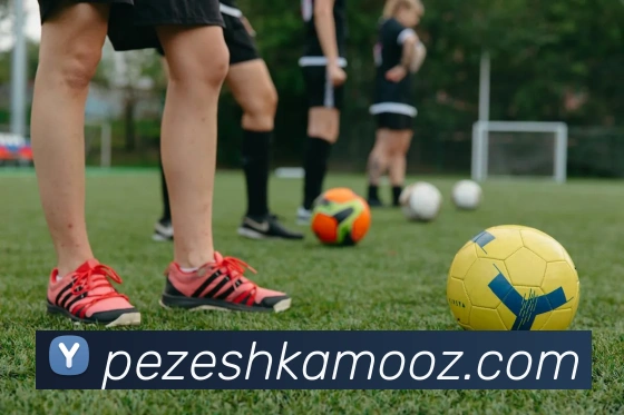 平台展示图