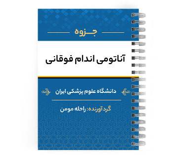 دانلود پی دی اف ( pdf ) جزوه آناتومی اندام فوقانی د.ع.پ.ایران