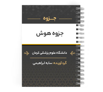 دانلود پی دی اف ( pdf ) جزوه هوش د.ع.پ.کرمان