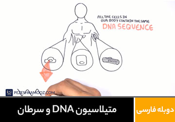 متیلاسیون DNA و سرطان