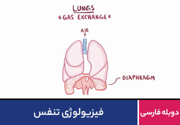 فیزیولوژی تنفس - مبحث محاسبات