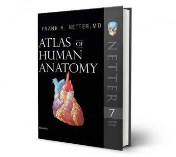 دانلود رایگان کتاب اطلس آناتومی بدن انسان نتر 2019 ویرایش 7